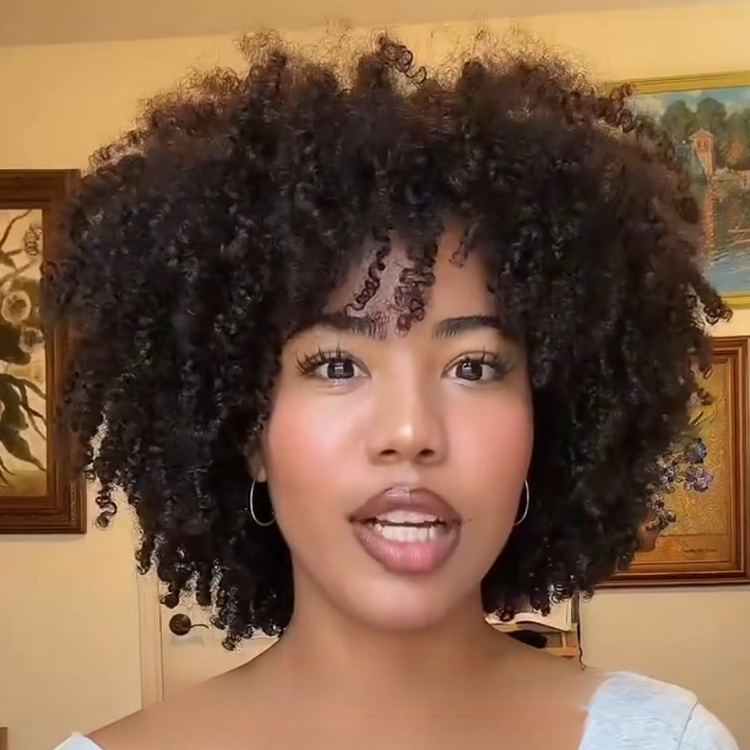 Natural Black Afro Kinky Coily Bob Wig - Defined Spirals- Rafarada
