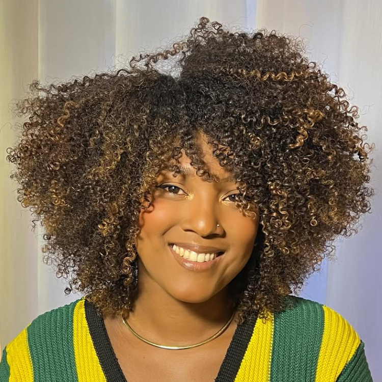 Afro Kinky Curly Human Hair Wig with Honey Blonde Highlights Ombre Chocolate Kinky Curly Glueless Wig Pre-plucked Hairline- Rafarada