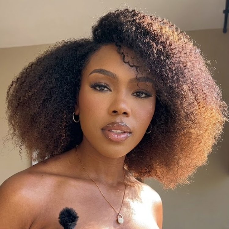 Ombre Chocolate Brown Color Afro Kinky Curly Glueless 3-In-1 Half Wig Human Hair For Women- Rafarada