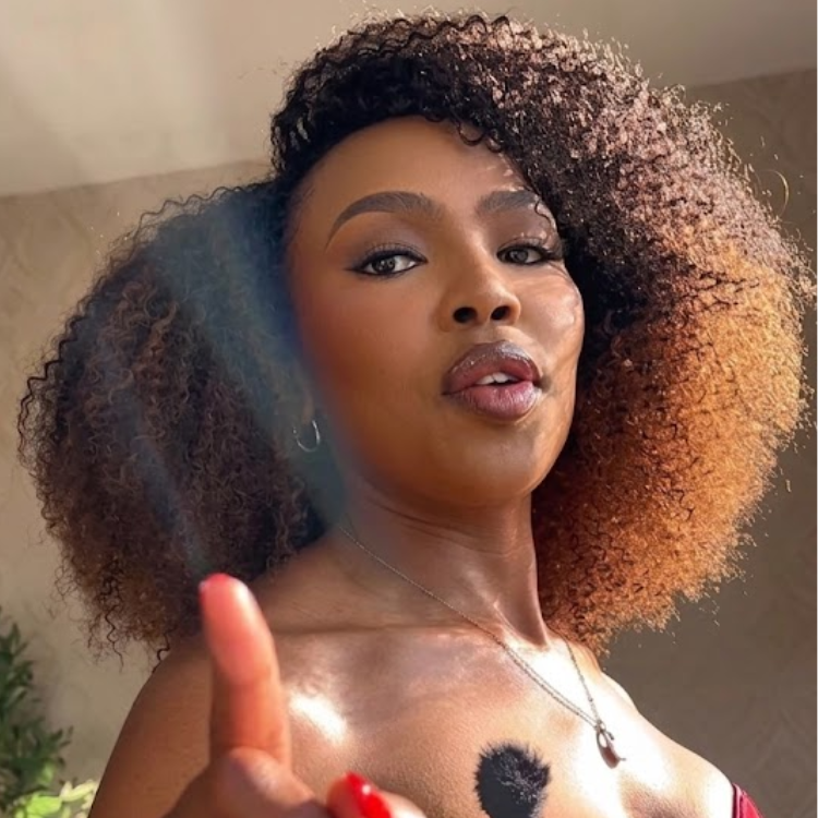 Ombre Chocolate Brown Color Afro Kinky Curly Glueless 3-In-1 Half Wig Human Hair For Women- Rafarada