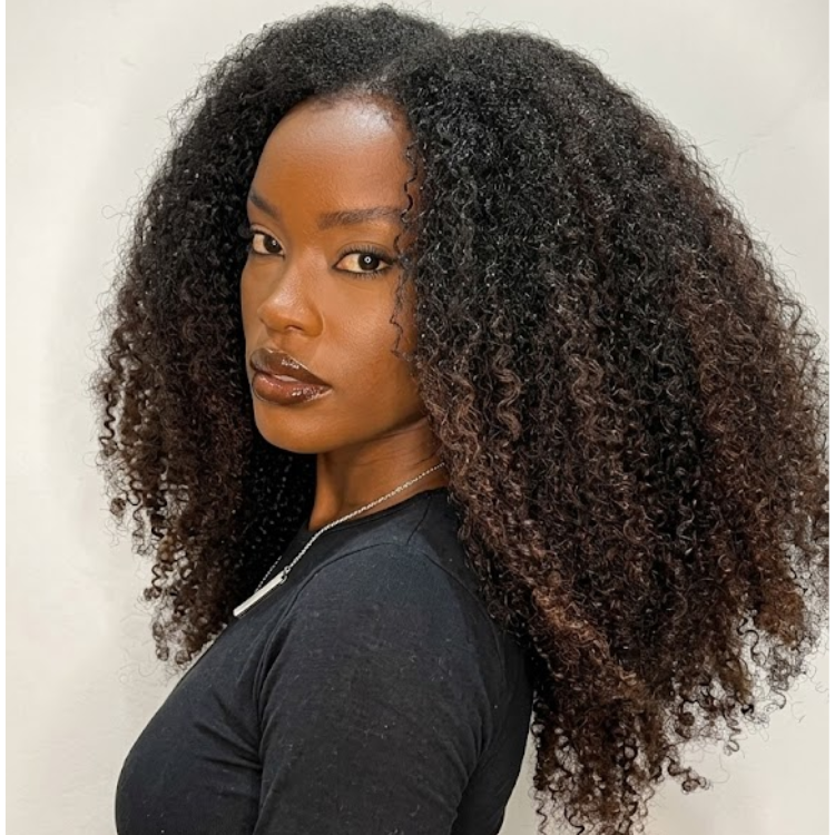 Natural Black to Chocolate Brown Ombre Curly Lace Front Wig HD Transparent Glueless Jerry Curl Wigs for Black Women - Rafarada