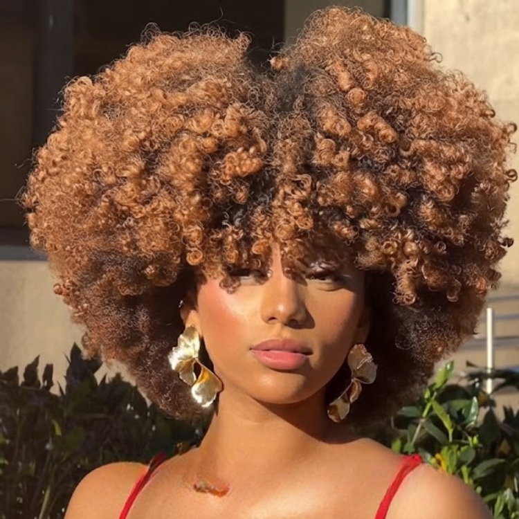 Voluminous Ombre Kinky Coily Human Hair Wig - Dark Brown Roots to Light Brown Ends Natural Texture 100% Human Hair Wig - Rafarada