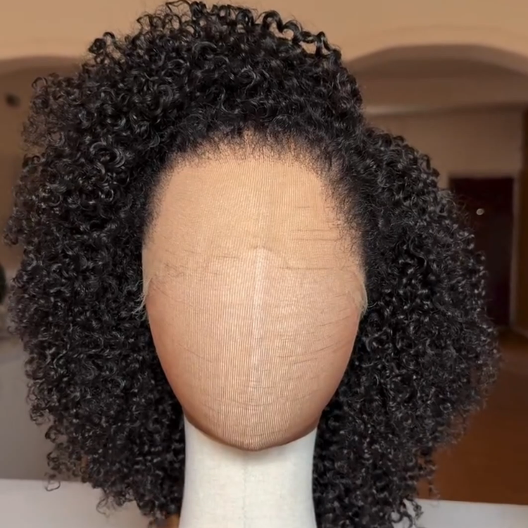 Luxurious Full Lace Jet Black Voluminous Afro Coily Curly Wig 100% Human Hair Bouncy Glueless Wig Free Parting Glueless Full Lace Wig- Rafarada