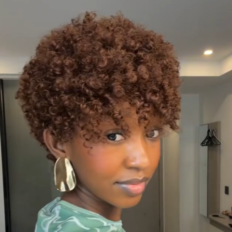 Natural Black Bouncy Ringlet Curls Human Hair Wig - Glossy Short Coily Pixie Wig with Defined Texture   - Rafarada