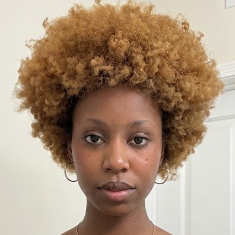 Honey Blonde Afro Kinky Curly Short Bob Wig - Voluminous Coily Texture Glueless Human Hair Wig- Rafarada