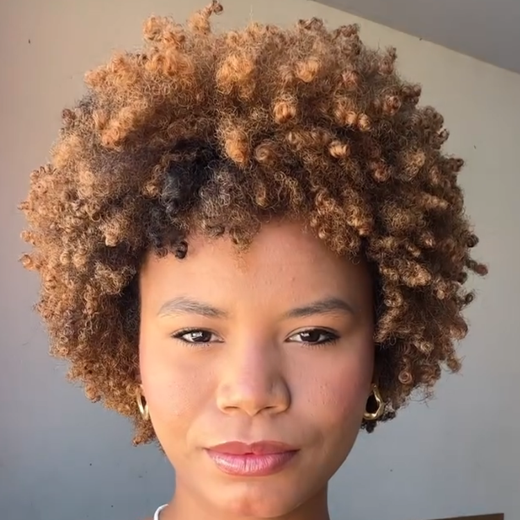 Honey Blonde Highlight Afro Kinky Curly Short Bob Wig 100% Human Hair Glueless Tight Curl Peruke for Women- Rafarada