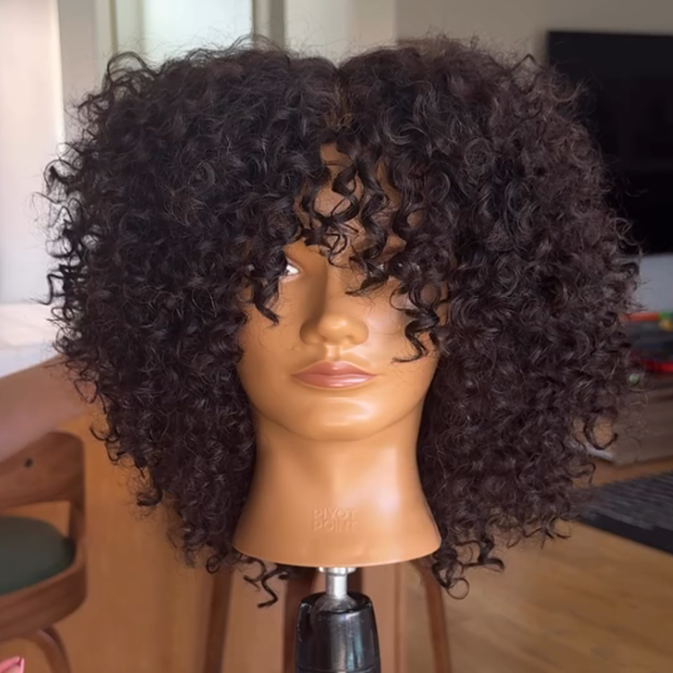 Bouncy Jerry Curly Human Hair Wig with Bangs - Natural Black Glueless Deep Curly Wig for Black Wome - Rafarada