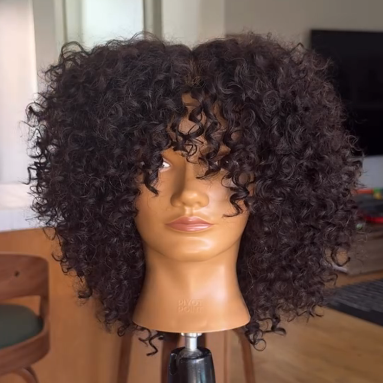 Bouncy Jerry Curly Human Hair Wig with Bangs - Natural Black Glueless Deep Curly Wig for Black Wome - Rafarada