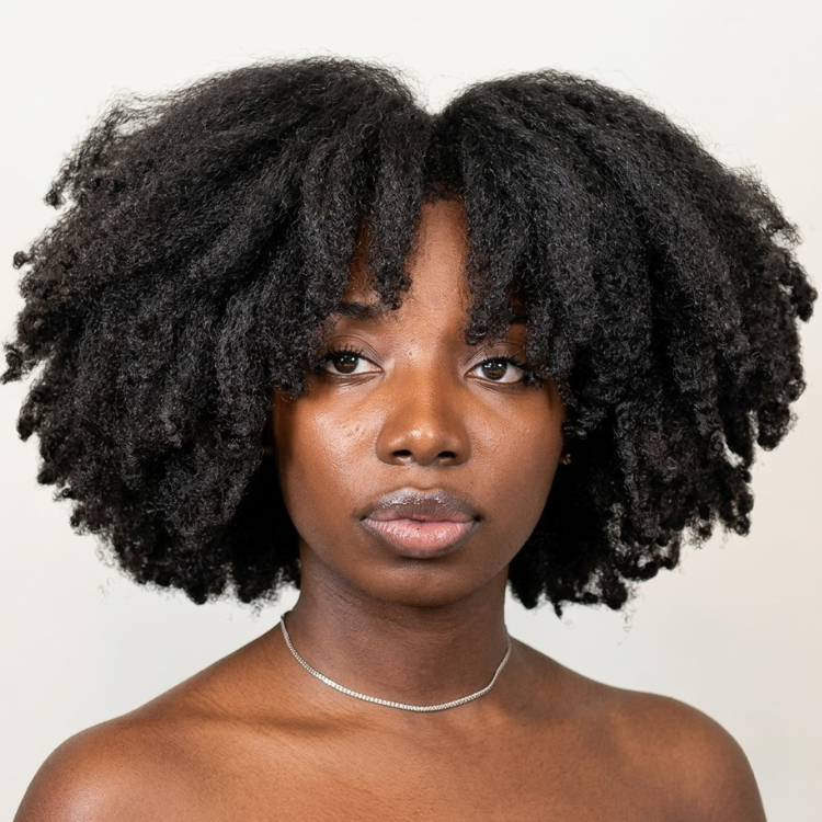 Afro Kinky Curly Human Hair Wig Natural Black Glueless Kinky Coily Wig Pre-plucked Hairline Full Volume Short Kinky Curly Wig - Rafarada