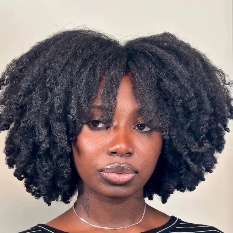 Afro Kinky Curly Human Hair Wig Natural Black Glueless Kinky Coily Wig Pre-plucked Hairline Full Volume Short Kinky Curly Wig - Rafarada