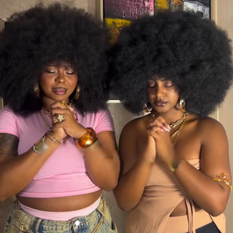 Afro Kinky Coily Human Hair Wig - Glueless Natural Black Voluminous Hair- Rafarada