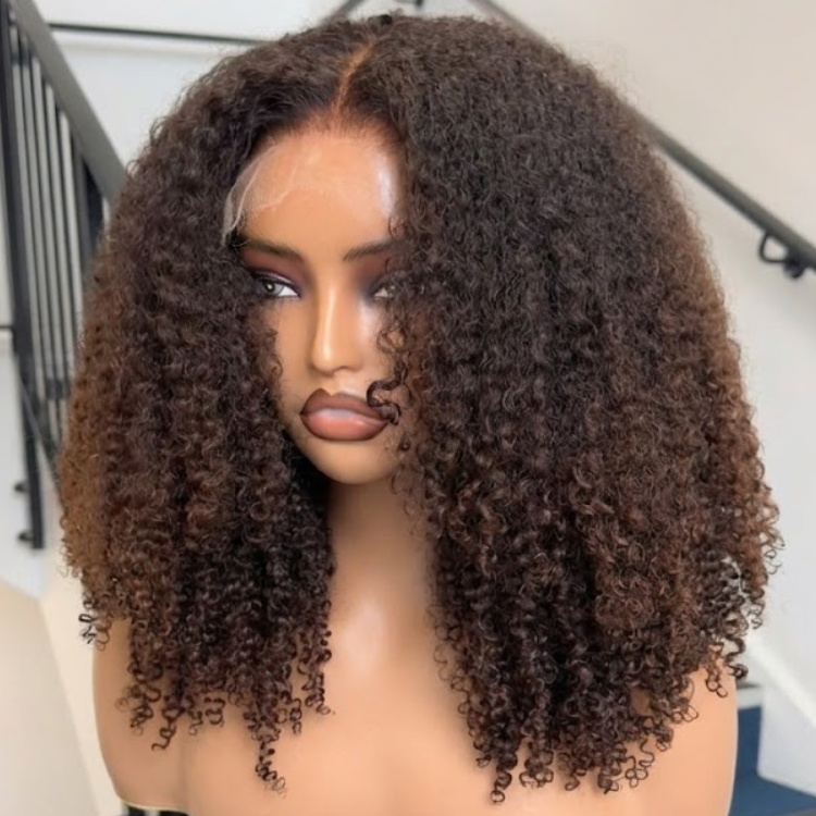 Glueless Kinky Curly Human Hair Lace Front Wig Natural Black Mixed Caramel Brown Highlights- Rafarada