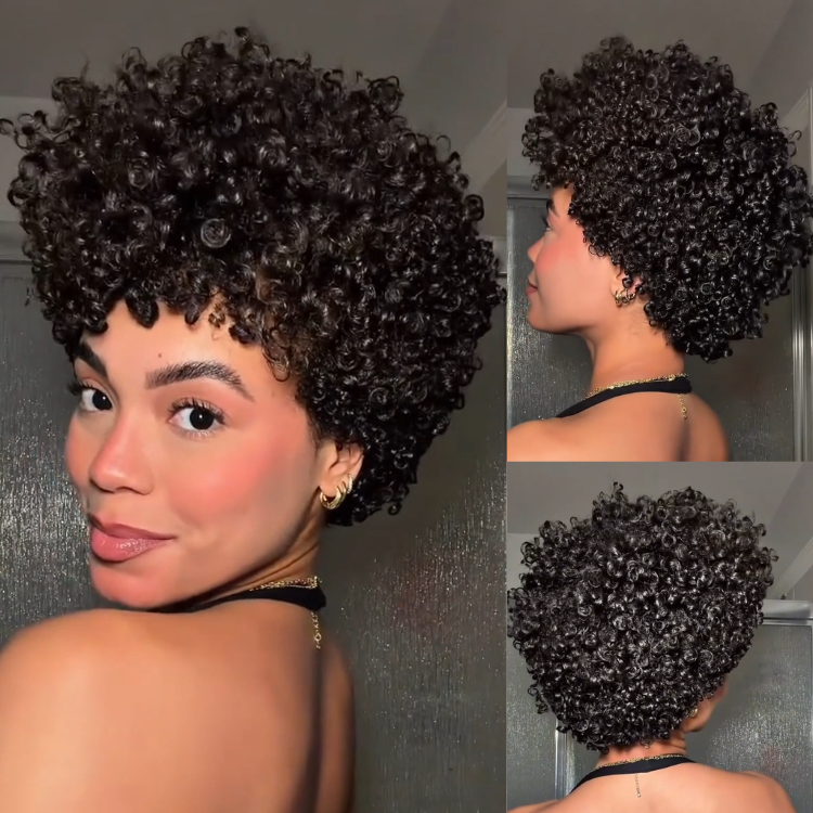 Short Bouncy Kinky Curly Human Hair Wig - Glossy Jet Black Afro Curly Glueless Lace Wig with Defined Coils- Rafarada
