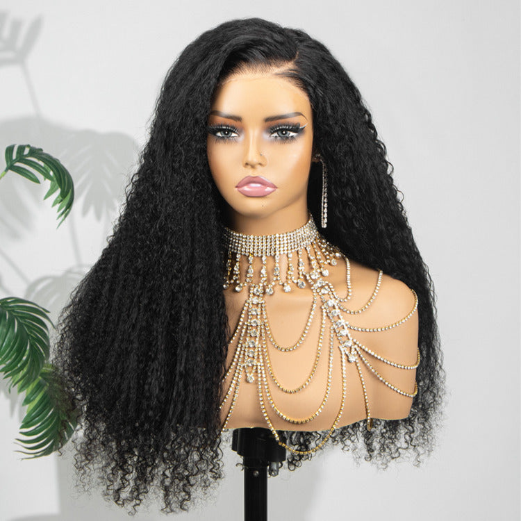 Multi Texture Kinky Straight With Afro Curly Wig HD Lace Frontal Thick Curly Hair Glueless Wigs- Rafarada