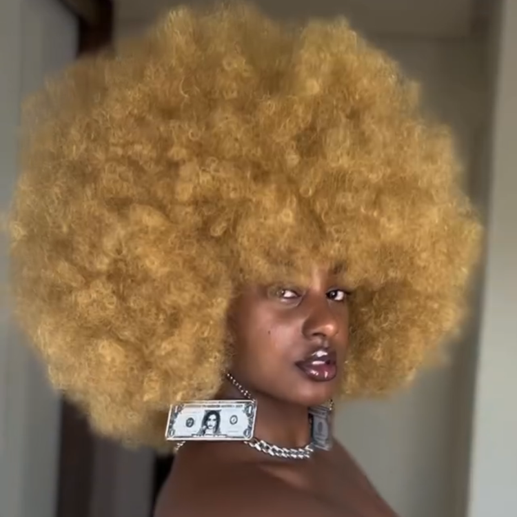 Glueless Natural Black Big Afro Kinky Coiled Human Hair Wig with Bangs Afro Textured Blowout Wig Pre-Plucked & Beginner Friendly- Rafarada