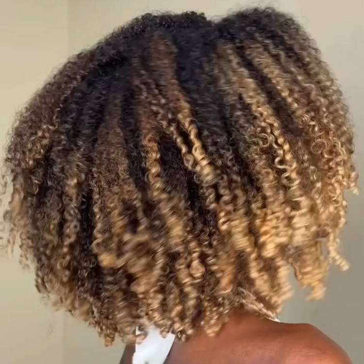 Natural Looking Ombre Caramel Blonde Kinky Curly Bob Human Hair Wig Glueless- Rafarada