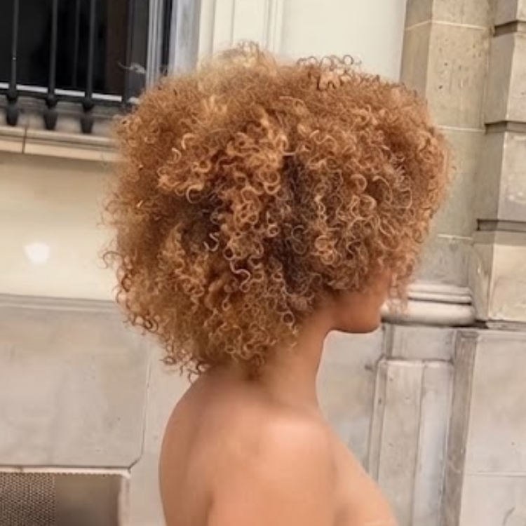 Ombre Honey Brown Kinky Coily Human Hair Wig - Voluminous 3B/3C Texture Natural Looking Wig for Women - Rafarada