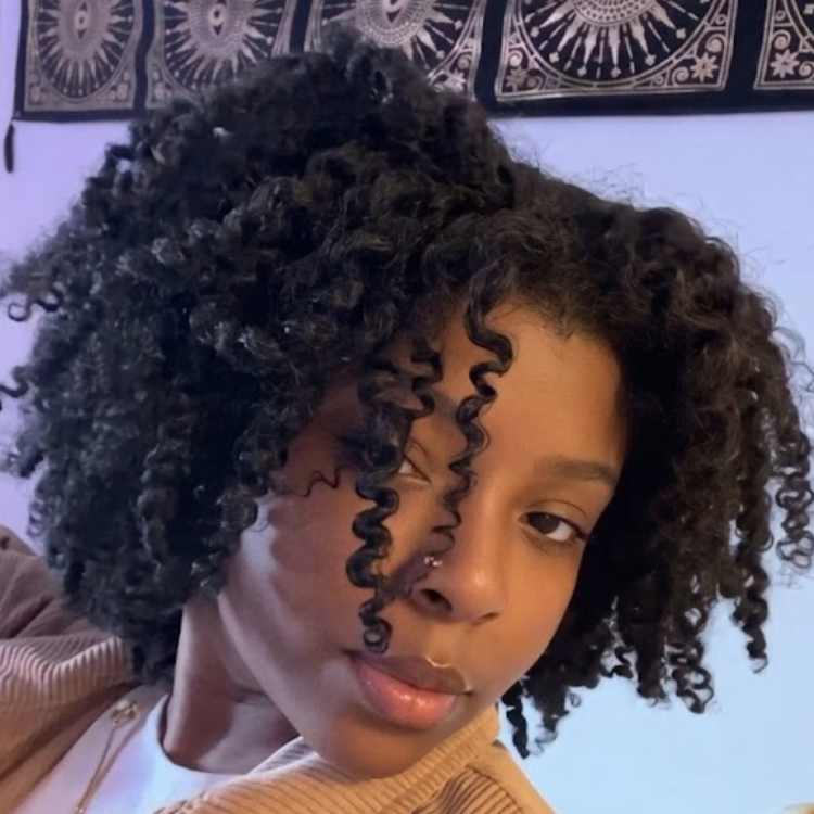 Short Twist Out Kinky Coily Human Hair Wig Natural Black Glueless Defined Coils Afro Wig Pre-Plucked Full Volume - Rafarada