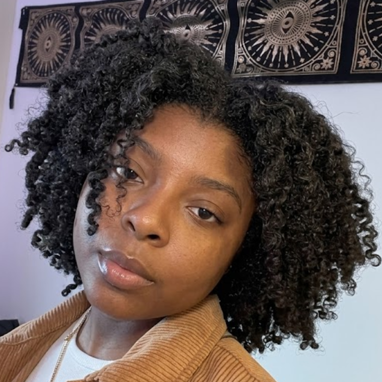 Short Twist Out Kinky Coily Human Hair Wig Natural Black Glueless Defined Coils Afro Wig Pre-Plucked Full Volume - Rafarada