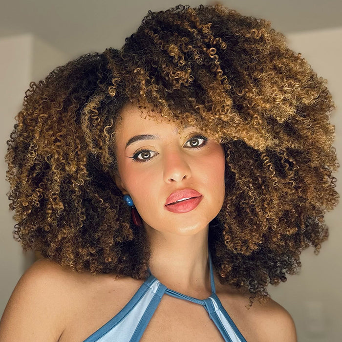 Honey Blonde Highlight Afro Kinky Curly Wig Glueless Fluffy Coily Ombre Color Wigs for Beginner - Rafarada