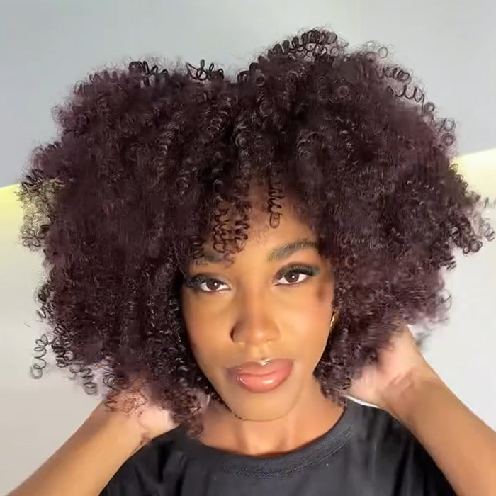 Afro Kinky Curly Wig Natural Black Glueless Spiral Coily Ombre Color Glueless Human Hair Wigs For Beginner - Rafarada