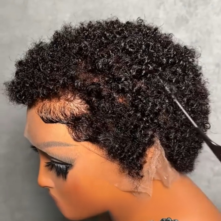 Short Pixie Cut Curly Human Hair Lace Front Wigs Natural Black Full Lace Free Part Wig for Women - Rafarada